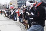 Wrocławscy obrońcy zwierząt popierają zmiany zaproponowane przez PiS. „Zakaz jest bliżej niż kiedykolwiek wcześniej” [ZDJĘCIA], 